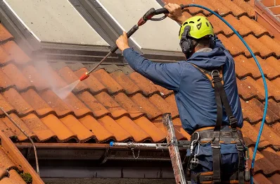 Démoussage et hydrofuge de toiture à Vauxbons